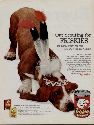 vintage Bassett hound Friskies ad, dog food