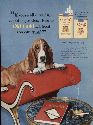 vinatge bassett hound dog ad
