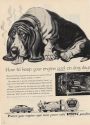 vintage Bassett hound dog ad