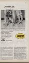 vintage Bassett dog ad