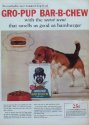 shlitz beer beagle harrier foxhound