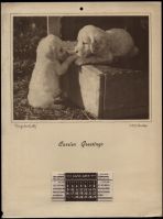 Carrier Air conditioning advertisement calendar