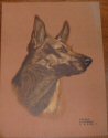 Gladys Emerson Cook German Shepherd Dog print