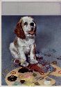 Cocker Spaniel print $15.00