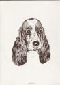 Cocker Spaniel print $16.00