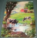 Hy Hintermeister Irish Setter and English Pointer print